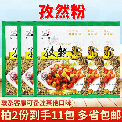 三海30g新疆调味料家用孜然粉