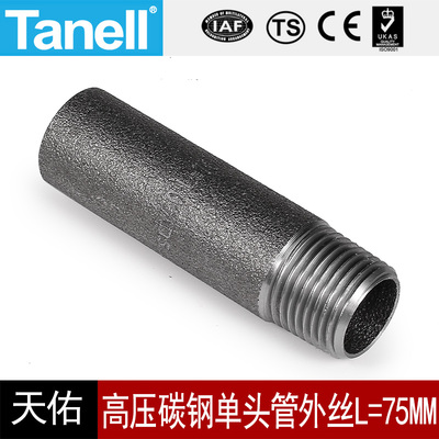 碳钢单头管外丝Tanell75长