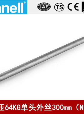 单头管外丝NPT300长64KG高压管件Sch40焊接304316L天佑管业11645