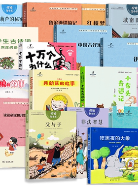 读思达丛书小学生整本书阅读