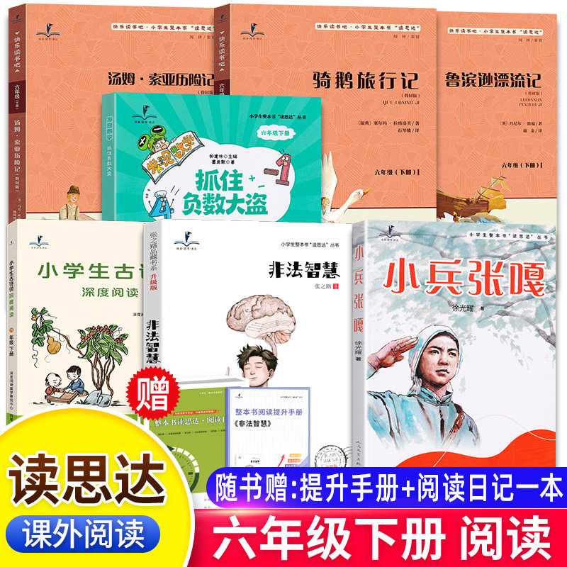 2026春读思达六年级下册上骑鹅旅行记鲁滨逊漂流记汤姆索亚历险记小兵张嘎非法智慧抓住负数大盗小英雄雨来呼兰河传显微镜下有怪兽