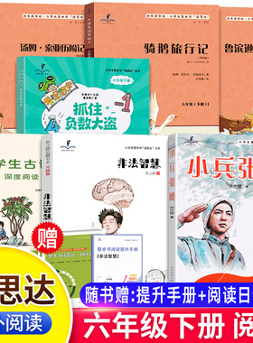2026春读思达六年级下册上骑鹅旅行记鲁滨逊漂流记汤姆索亚历险记小兵张嘎非法智慧抓住负数大盗小英雄雨来呼兰河传显微镜下有怪兽