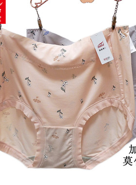 2条 富妮来大码女中高腰莫代尔抑菌5063包臀柔软5062加肥加大4326