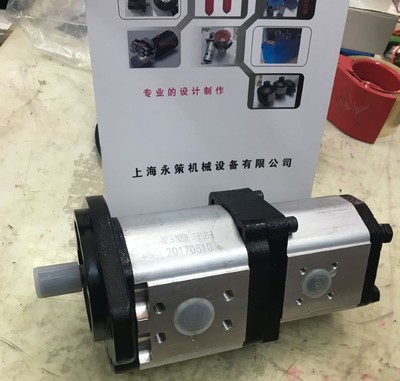 非微型工业新款上市标定做双联齿轮泵B262A2S2818S3F1FE多联高压