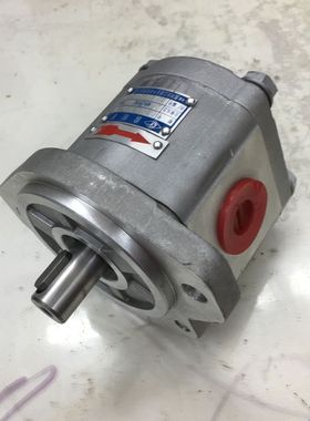 齿轮油泵CBK1012-A1TR 高压齿轮泵 油泵  四川长江泵代用 液压泵