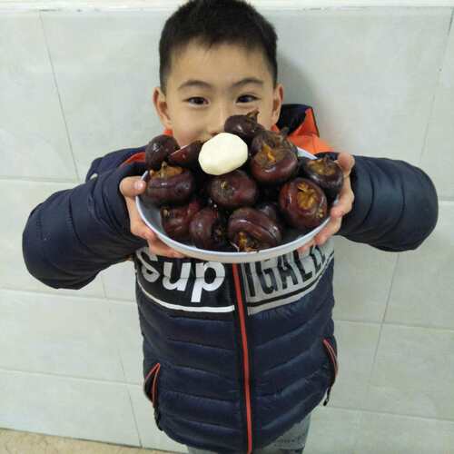 新鲜蔬菜水果现挖大果乐昌马蹄