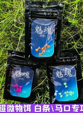 天外仙魅魂(1号)白条马口微物专杀可夜钓单钩7mm超小迷你路亚软饵