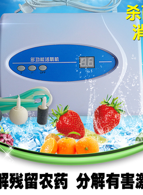 果菜消毒解毒活氧机数码活氧消毒机多功能活氧机降解浓药残留杀菌