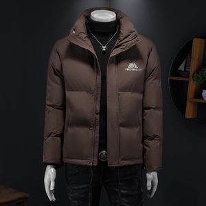 2024冬季新款立领休闲羽绒服QT212-8820-P220 假模图图片