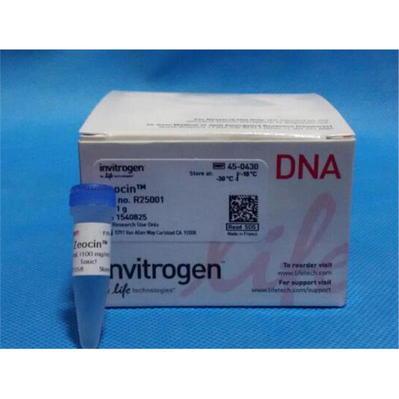 zeocin 博来霉素 博莱霉素 invitrogenR25001 125mg/1.25ml 工业油品/胶粘/化学/实验室用品 试剂 原图主图