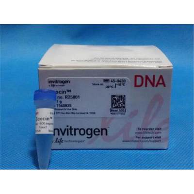 zeocin 博来霉素 博莱霉素 invitrogenR25001 125mg/1.25ml