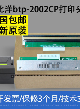 适用北洋 btp-2002CP打印头btp-R580 btp-98NP tp13 th200e热敏头
