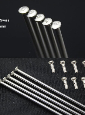 直径2.0mm直头银色DT Swiss Champion山地自行车车轮辐条钢丝车条