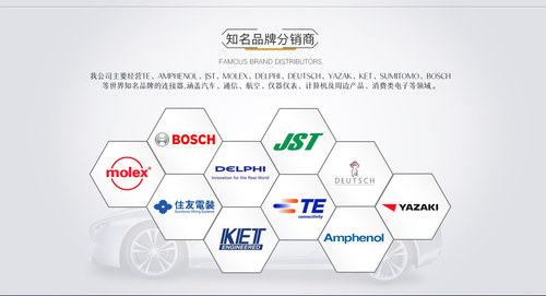 DELPHI/泰科清单专用链接