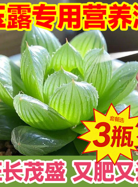 多肉植物玉露专用高效免稀释液体肥促长爆芽肥胖增肥增色营养液