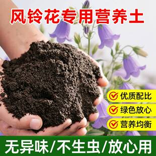风铃花专用土料盆栽花树植物营养土风铃花草种子种植促开花肥家用