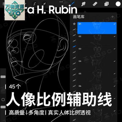 procreate笔刷多角度人像头部线稿图比例透视辅助线ipad绘画素材