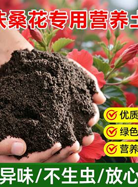 扶桑花专用土料养殖树苗盆栽红色朱槿专用土壤养殖营养土种植家用
