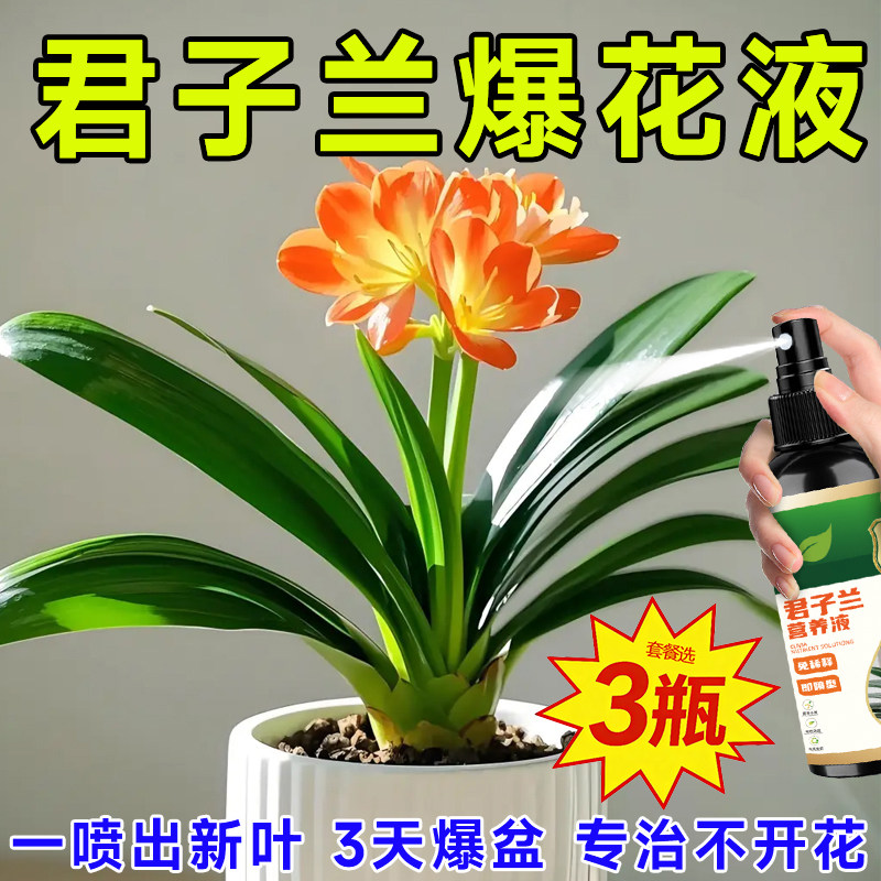 君子兰专用营养液免稀释促箭催花专治不开花急救黄叶烂根壮根助长