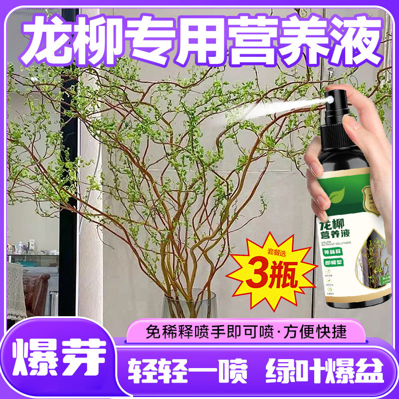 龙柳专用营养液水培土培水养增绿促长发芽枝繁叶茂防干枯黄叶喷施 - 实物图