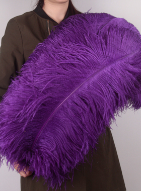 紫色鸵鸟羽毛婚礼婚庆装饰鸵鸟毛路引桌花摆件派对羽毛diy道具