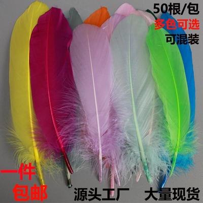 儿童创意美术课程制作材料鹅毛