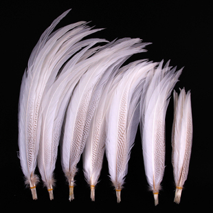DIY饰品配件10-80cm天然白色羽毛鸡尾翎子山鸡尾舞台面具装饰材料