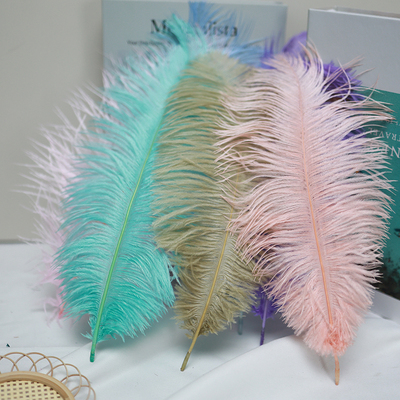 30-35cm鸵鸟羽毛，拍摄道具配件