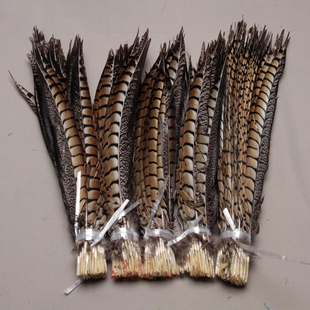 天然铜鸡侧尾羽毛京剧戏曲翎子山鸡尾野鸡毛舞台表演装饰羽毛