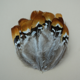 天然羽毛大黄棕片鸡毛 DIY手工饰品配件材料捕梦网毕业设计小羽毛