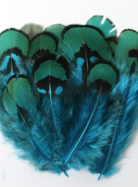 包邮天然蓝片DIY饰品配件服装舞台羽毛工艺品装饰湖蓝色羽毛
