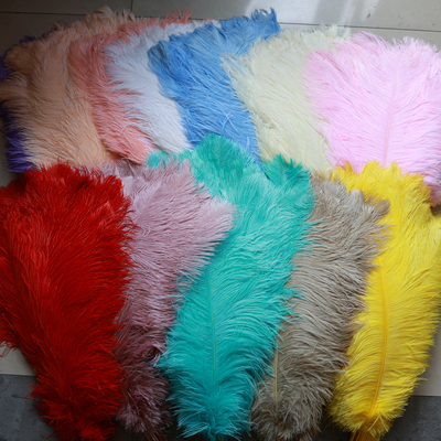 彩色鸵鸟羽毛花瓶摆件装饰