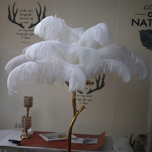 包邮白色鸵鸟羽毛 婚庆路引拍照道具摆件网红粉色ins大羽毛装饰