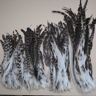 天然野鸡毛15-45厘米芦花尾毛条纹羽毛diy手工饰品材料逗猫棒配件