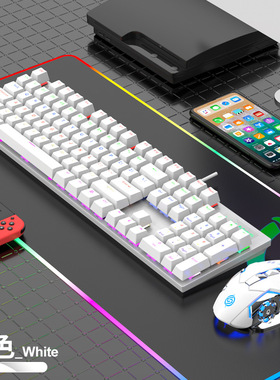 蝰蛇KM600机械键盘青轴电竞游戏发光台式电脑笔记本办公有线键鼠