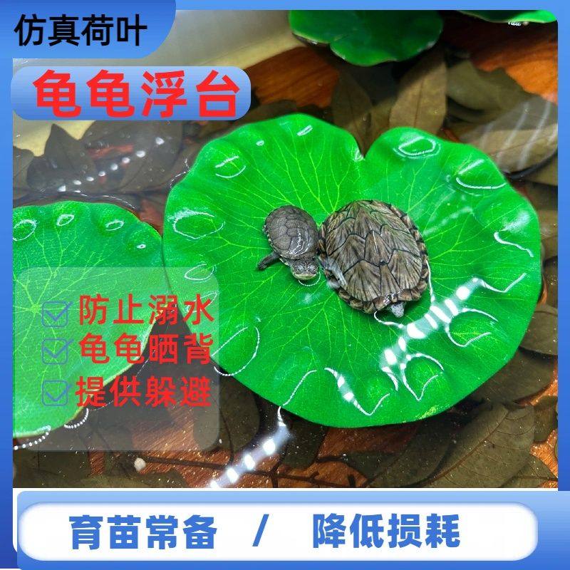 荷叶乌龟晒台浮台用品巴西龟爬台龟缸造景爬坡水族箱浮岛晒背台