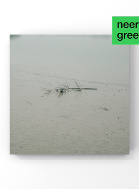 NEERG原创《枝》艺术家版画油画布无框画抽象装饰画客厅挂画壁画