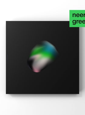 NEERG正版《样子#1》原创版权艺术家油画布抽象挂画装饰画无框画