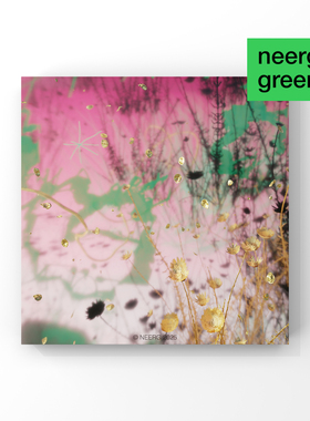 NEERGxYIN「风花雪月」3D插画艺术版画装饰画古典复古挂画中式粉