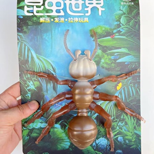 仿真动物仿真螃蟹蜥蜴蝎子蜘蛛整人吓人热卖 整蛊减压玩具