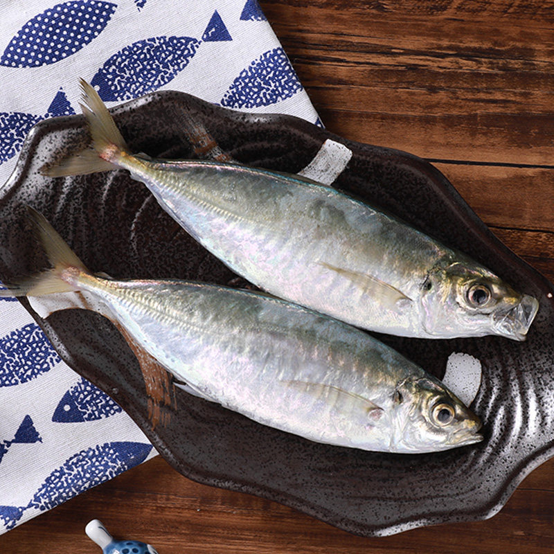 东山岛养殖巴浪鱼生态池鱼王竹莢蓝眼鯵刺身海鲜水产500g冷冻