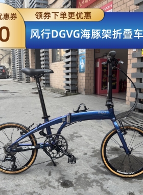 fnhon风行20寸铝合金海豚架VG2018V刹  DG2018碟刹折叠整车定制版