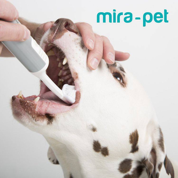 德国Mira-Pet宠物狗牙齿清洁超声波震动牙刷套装 可用于猫咪.