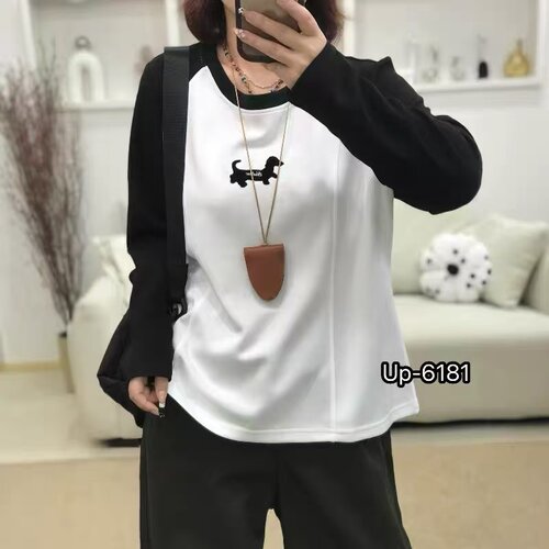 秋装新款圆领学院风卫衣长袖女