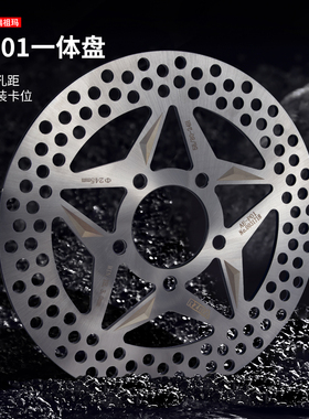 RZMA一体刹车盘GP01适用极核电动车ae4/ae5/AE6/AE8制动大飞机声