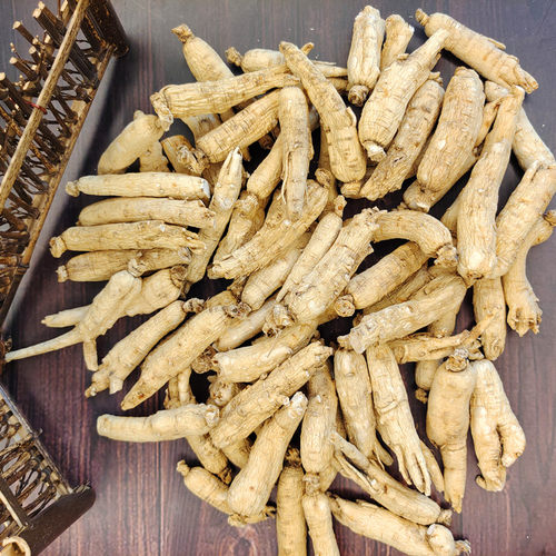 500人参白参生晒参东北特产