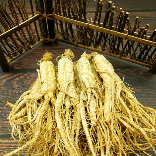 长白山人参白参原皮泡酒煲汤泡水