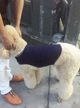 狗狗保定 遛狗止吠止怒 宠物医院医疗安抚安静衣束缚猫治疗衣