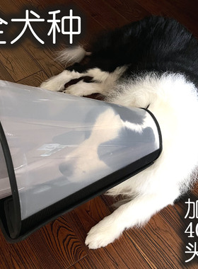 定制加大深40cm头套边境牧羊犬伊丽莎白圈宠物边境柯利犬陨石边牧