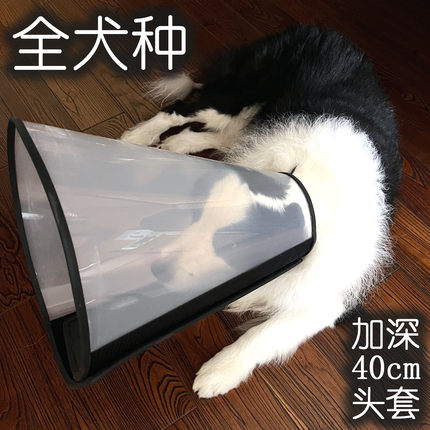 加大加深40cm狗狗头套边牧犬伊丽莎白圈宠物阿拉斯加灵缇巨贵杜宾